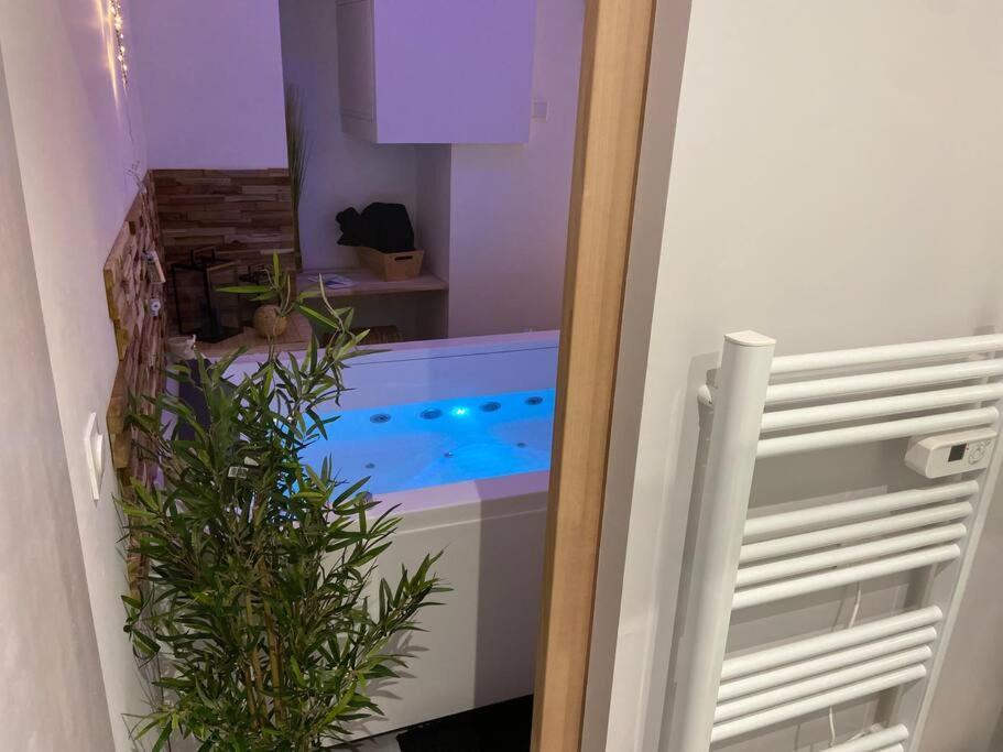 Lover Dose Spa Vierzon Extérieur photo