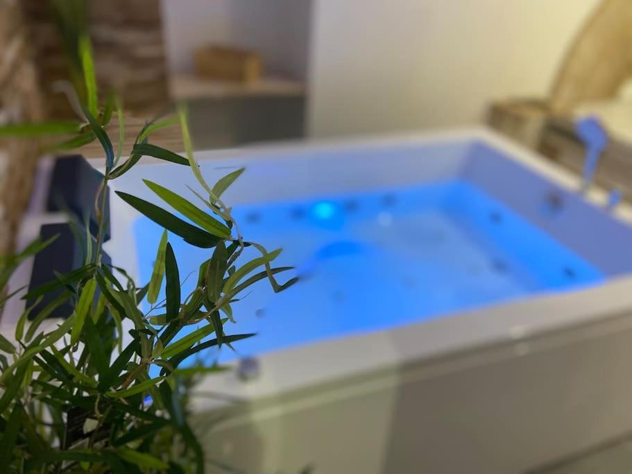 Lover Dose Spa Vierzon Extérieur photo